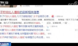 社会热点事件视频 网红黑料网址,社会热点事件背后的真相与反思